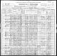 1900 Folketelling - 1900 Census