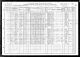1910 Census for Caroline Rosalia Holum in Spring Grove, Houston, Minnesota, United States.